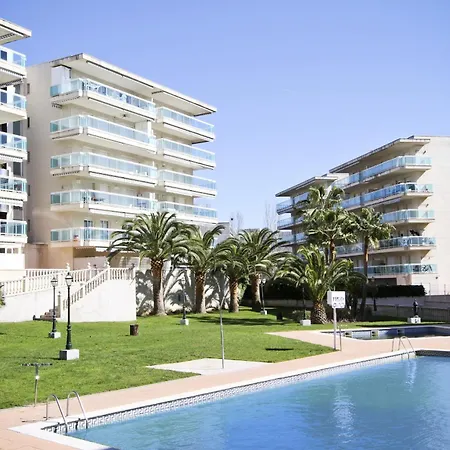 Ancora Planetcostadorada